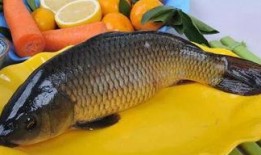 网红大瓜下载 网红黑料牛奶秋刀鱼,大瓜下载、黑料曝光，牛奶秋刀鱼事件背后的真相